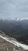 1000055031.gif