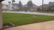 1752746551362.gif