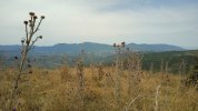 IMG-20250713-WA0012.jpeg