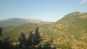 IMG-20250714-WA0011.jpeg