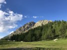 IMG_2927.jpeg