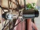 Ruote da corsa DtSwiss R23 DB Spline