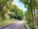 IMG_20250727_121150.jpg