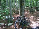 IMG_20250727_134200.jpg