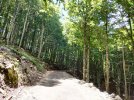 IMG_20250727_140910.jpg