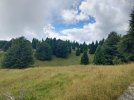 IMG_20250727_144742.jpg
