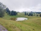 IMG_20250727_144826.jpg