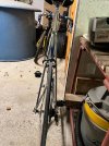IMG_8495.jpeg