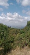 IMG-20250803-WA0008.jpeg