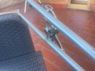 IMG_0869.jpeg