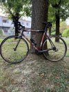 IMG_7723.jpeg