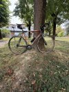 IMG_7728.jpeg