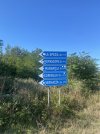 IMG_4123.jpeg