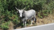 IMG_3392.JPG