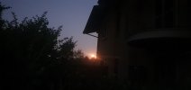 20250809_053021.jpg