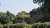 IMG_3416.JPG