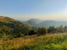 IMG_20250812_095102.jpg