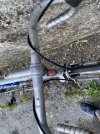 IMG_8772.jpeg