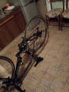 IMG_20250814_022955.jpg
