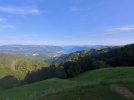IMG_20250817_082952.jpg