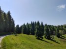 IMG-20250818-WA0045.jpg