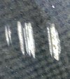 IMG_2200.jpeg