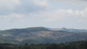 IMG_3508.JPG