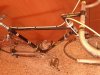 wilier.jpg