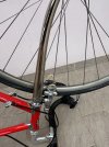 IMG_2729.jpeg