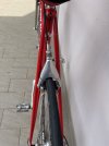 IMG_2721.jpeg