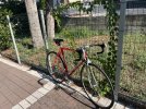 IMG_2672.jpeg