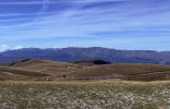 IMG_93.jpeg