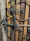IMG_2773.jpeg