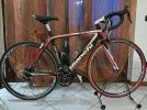 Bianchi Sempre TG 53 Shimano 105 10v