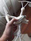 20250911_095136.jpg