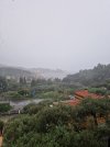 20250923_080939.jpg