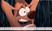 1000066111.gif