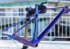 chameleon blue.jpg