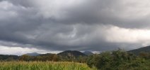 20250926_183332.jpg