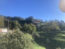 IMG_8400.jpeg