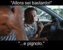 Bastardo e pignolo.jpg Bastardo e pignolo.jpg
