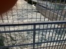 IMG_4408.jpeg
