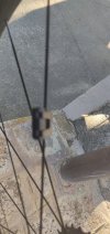 IMG_20251006_173320.jpg