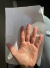 IMG_3893.jpeg