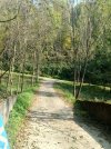 20251009_124551.jpg 20251009_124551.jpg