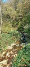 20251009_124606.jpg 20251009_124606.jpg