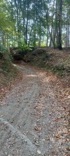 20251009_125139.jpg 20251009_125139.jpg