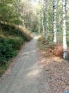 20251009_125150.jpg 20251009_125150.jpg