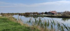 IMG_20251004_144231.jpg