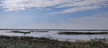 IMG_20251004_150151.jpg